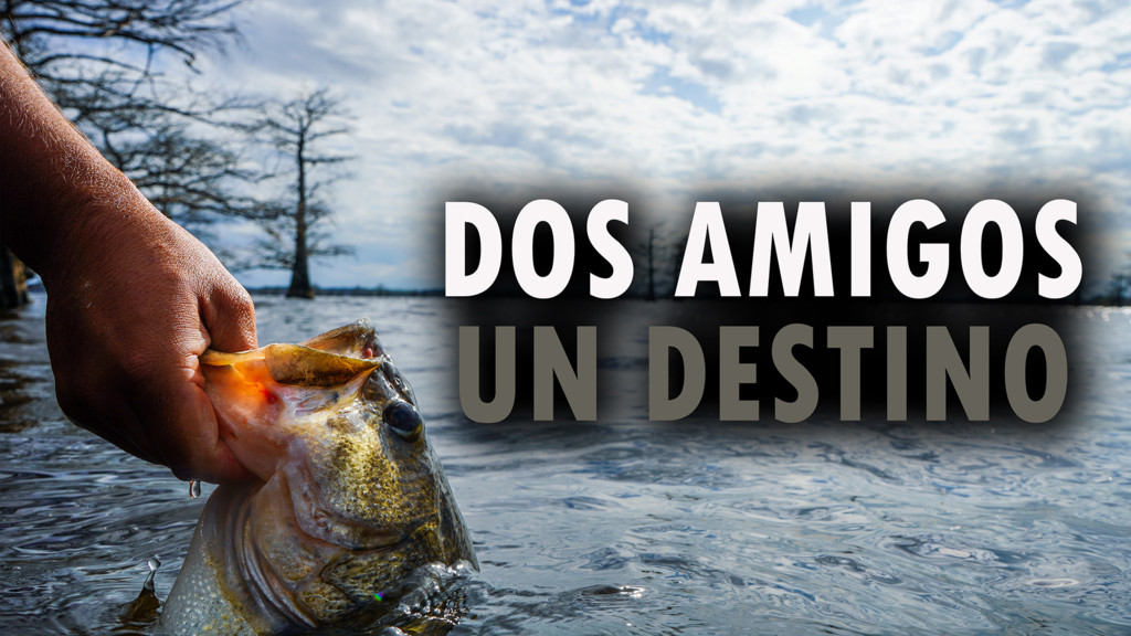 Dos amigos y un destino