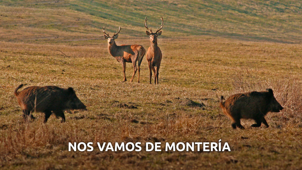 Nos vamos de montería