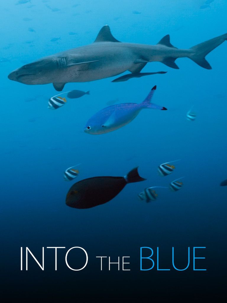 Carátula de Into the blue
