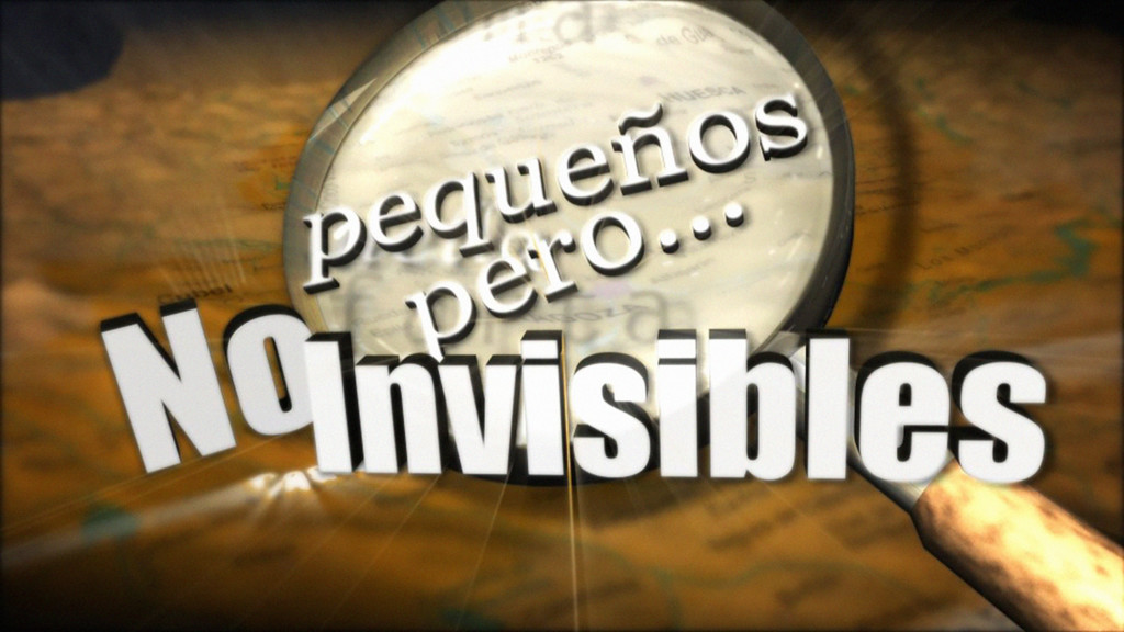 Pequeños, pero no invisibles