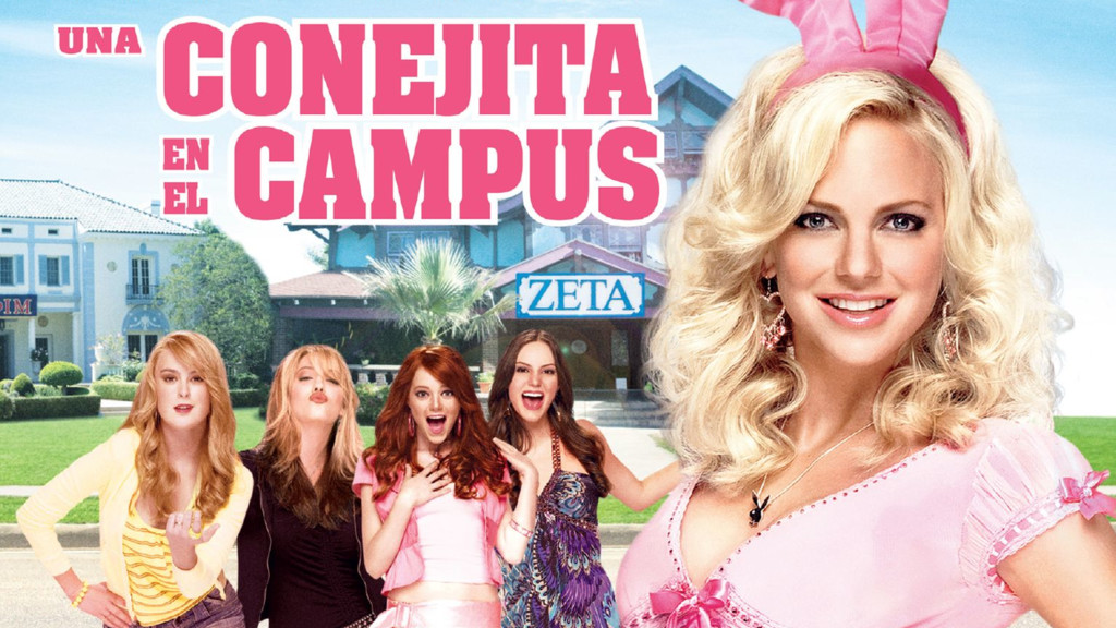 Una conejita en el campus