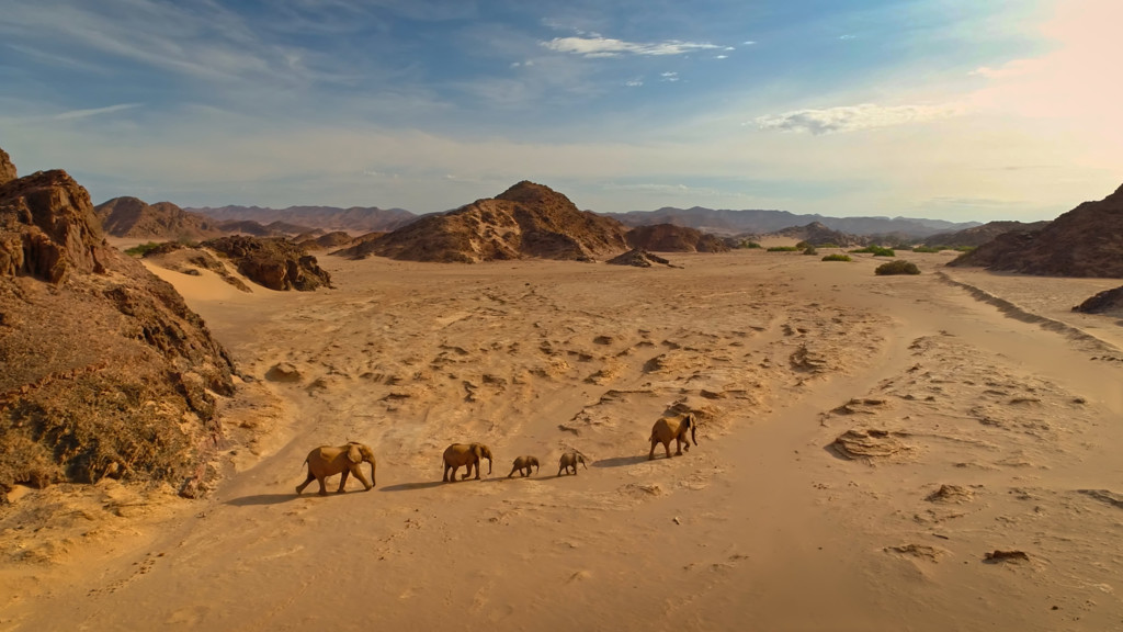 Kalahari, la otra ley de la Jungla