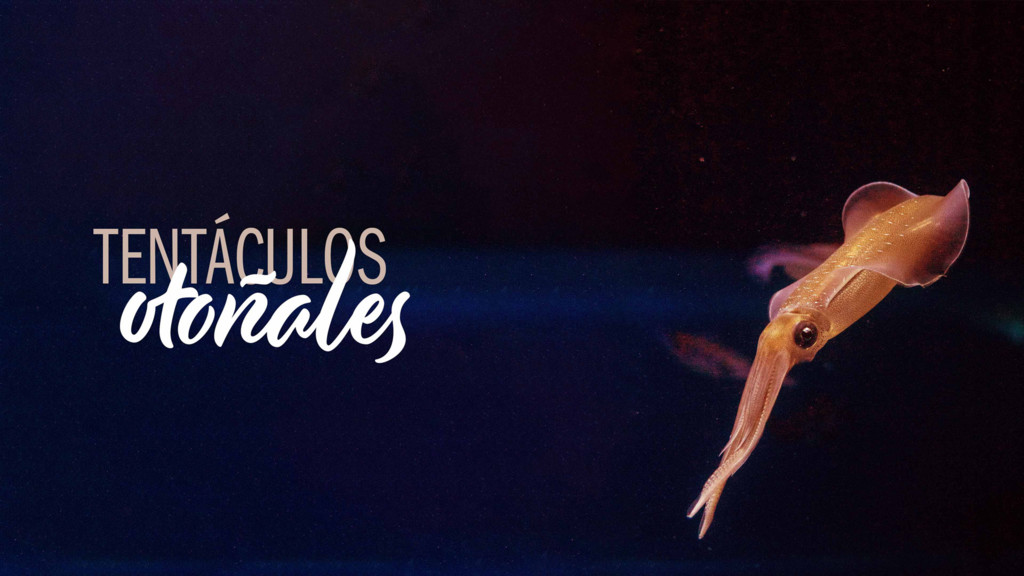 Tentáculos otoñales