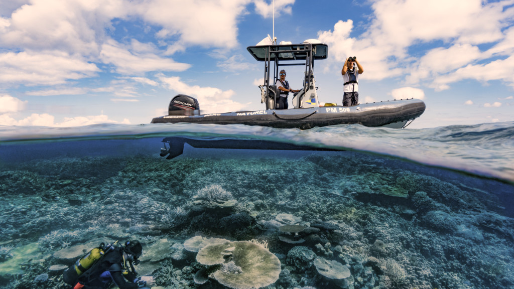 Australia: La Gran Barrera de Coral en peligro