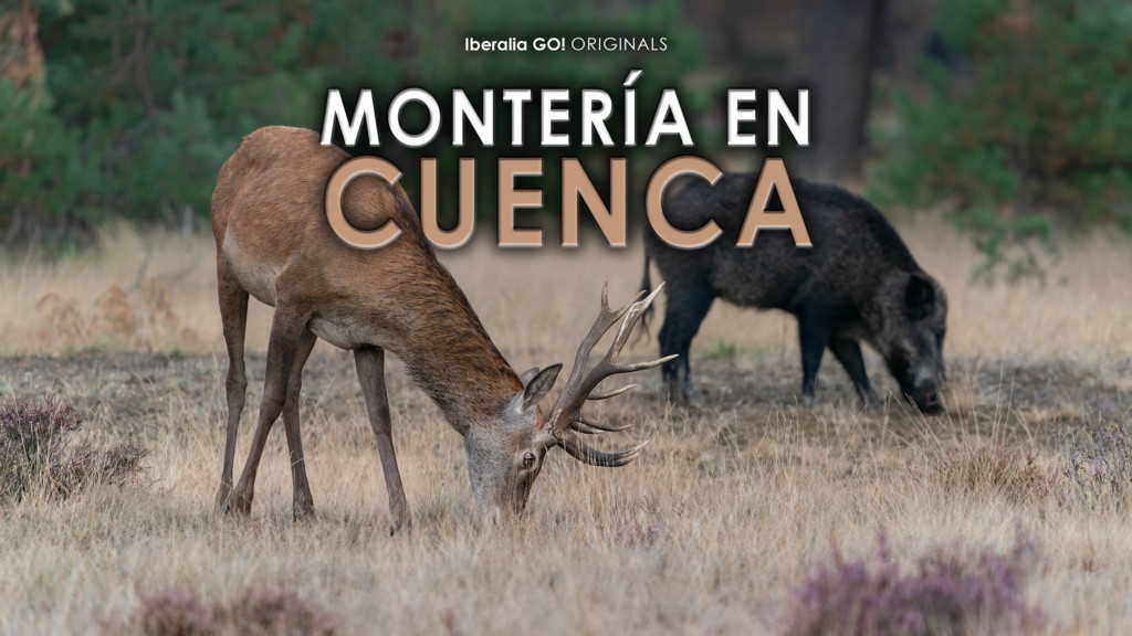 Montería En Cuenca