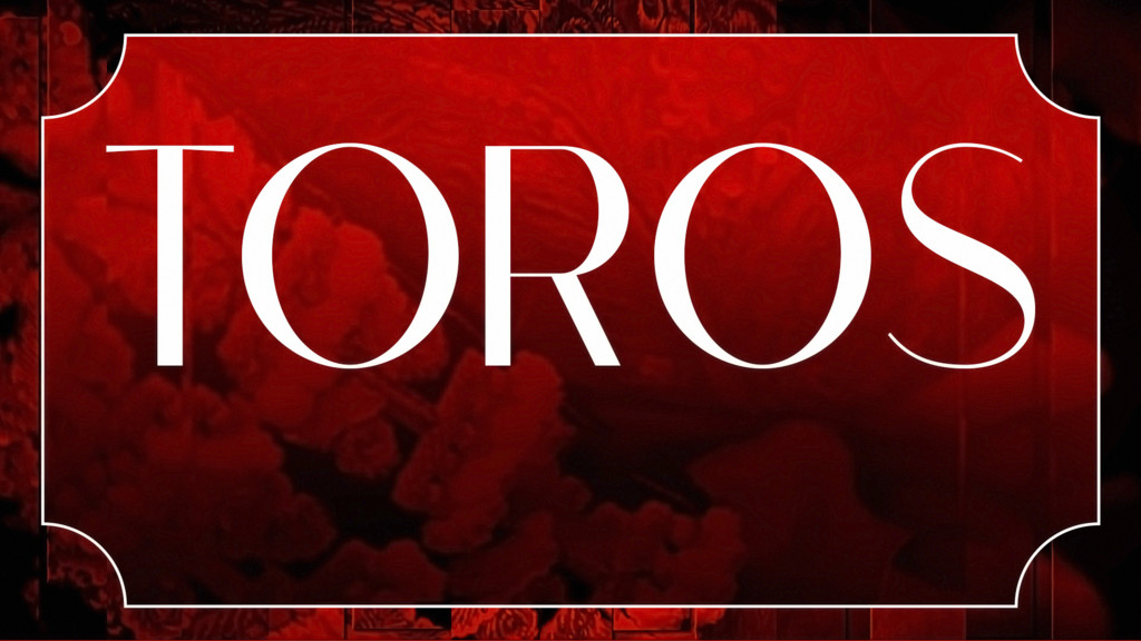 Toros