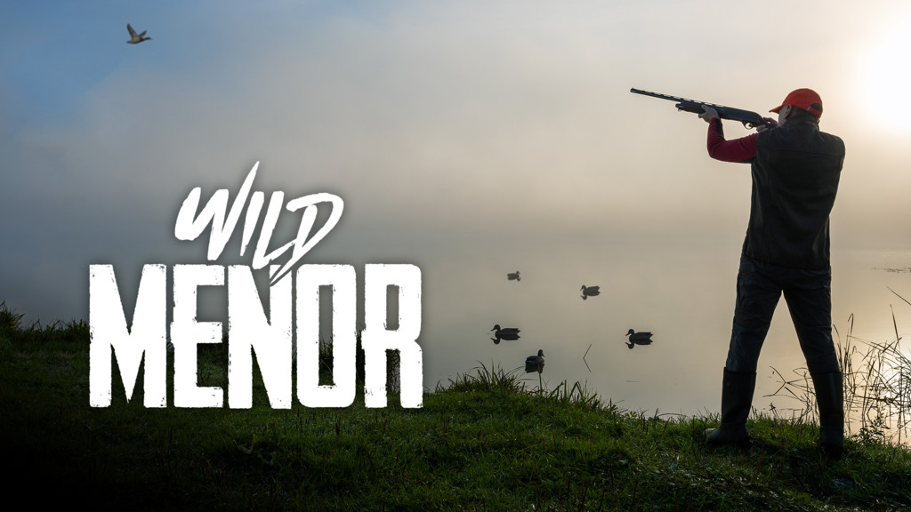 Wild Menor
