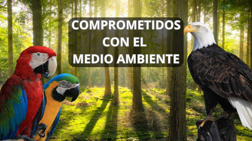 Cormprometidos con el medio ambiente