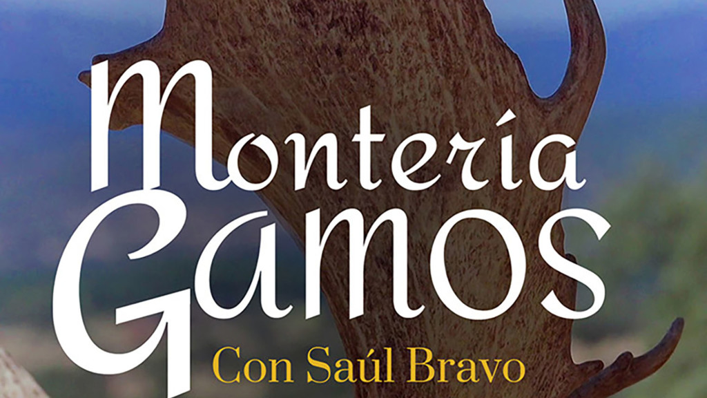 Montería de gamos con Saúl Bravo