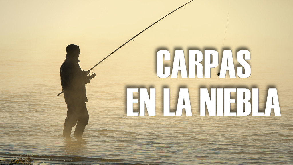 Carpas en la niebla