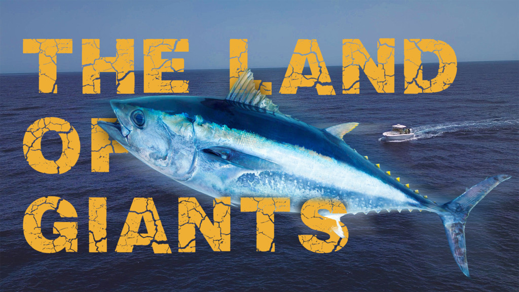 The land of giants Canarias