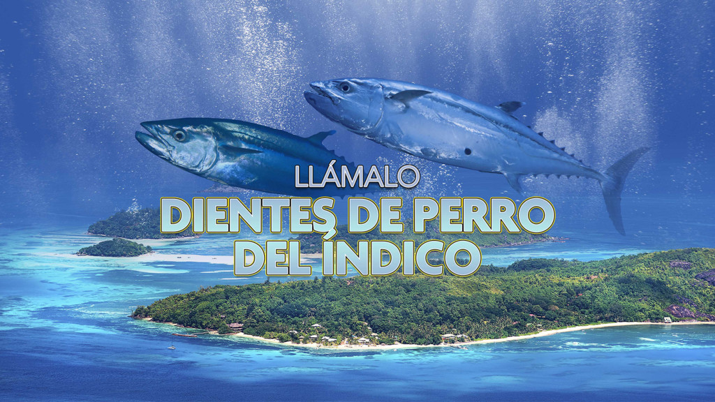 Llámalo Dientes De Perro Del Indico