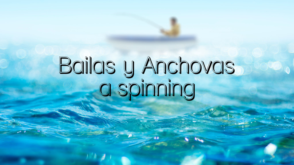 Bailas Y Anchovas A Spinning