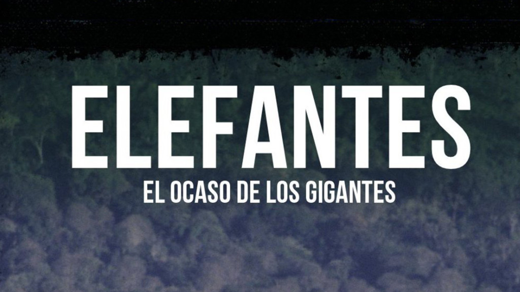 Elefantes, el ocaso de los gigantes