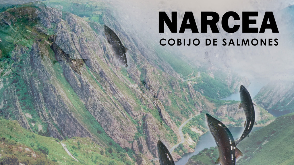 Narcea Cobijo De Salmones