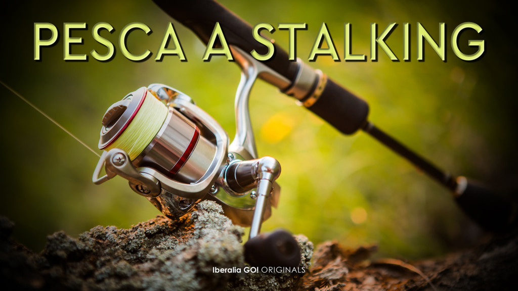 Pesca A Stalking