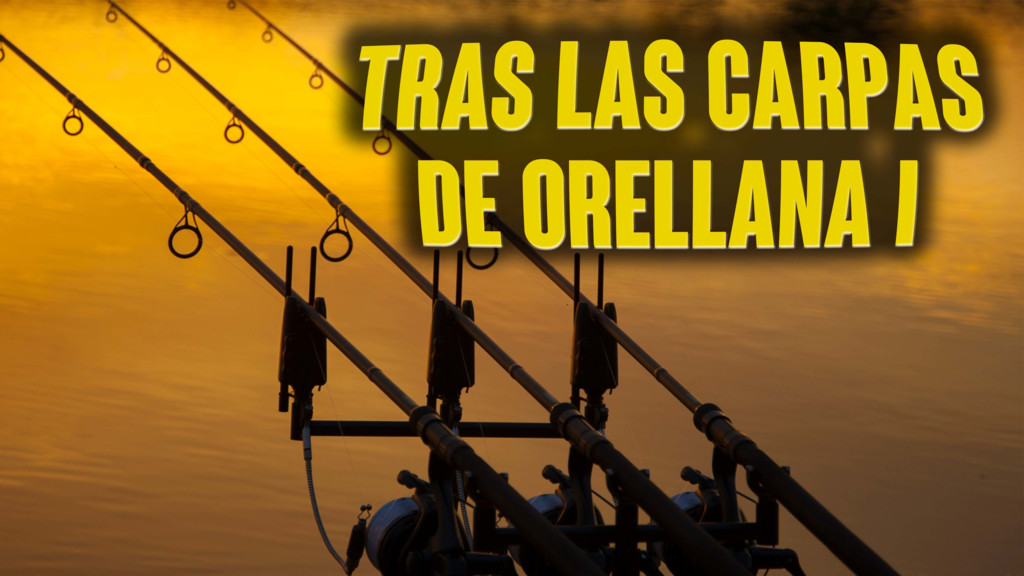 Tras Las Carpas De Orellana