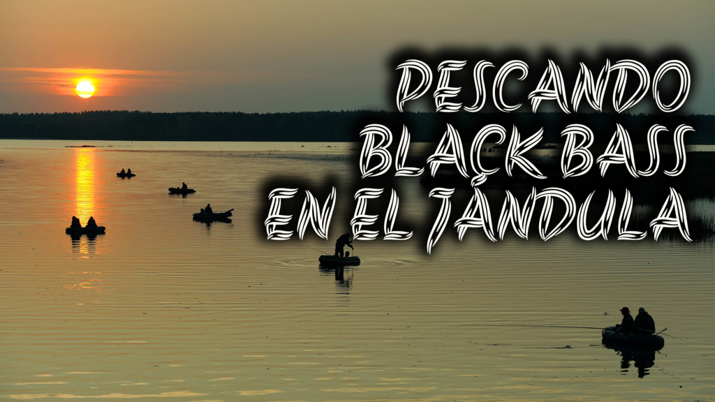 Pescando blackbass en el jandula