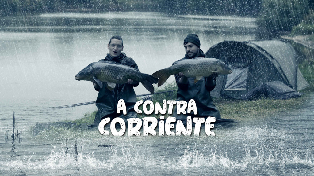 A Contracorriente