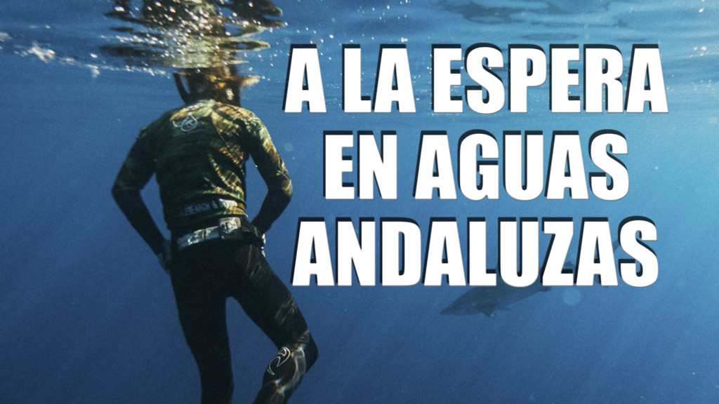 A la espera bajo aguas andaluzas