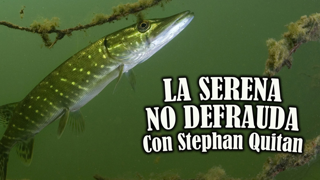 La Serena no defrauda con Stephan Quiton
