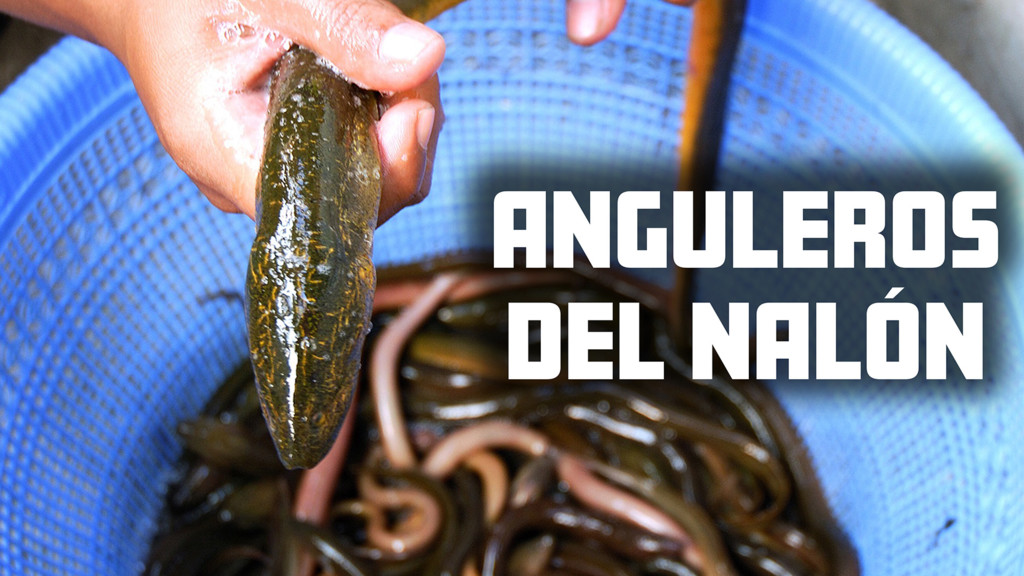 Anguleros del Nalón