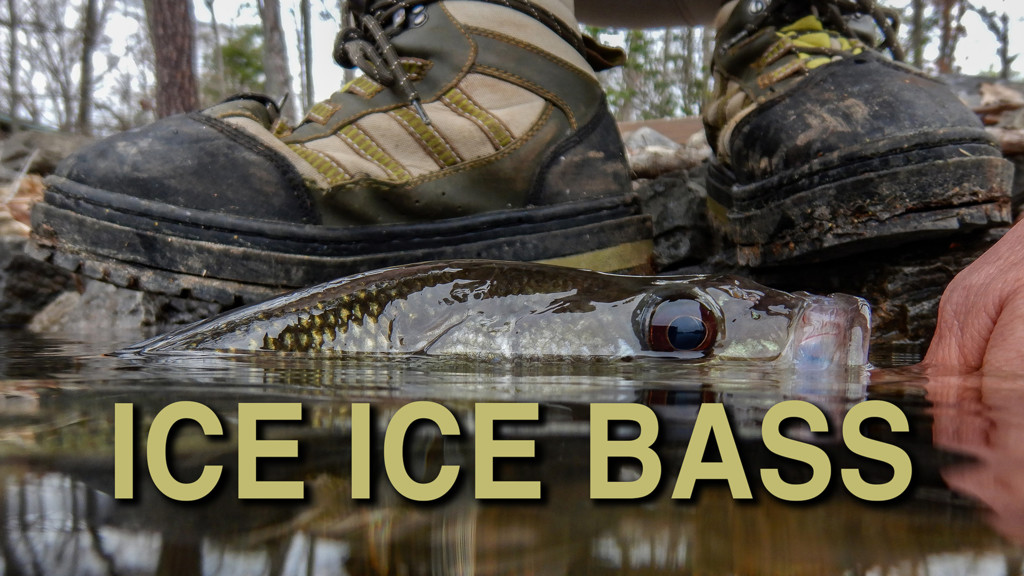 Ice Ice Bass