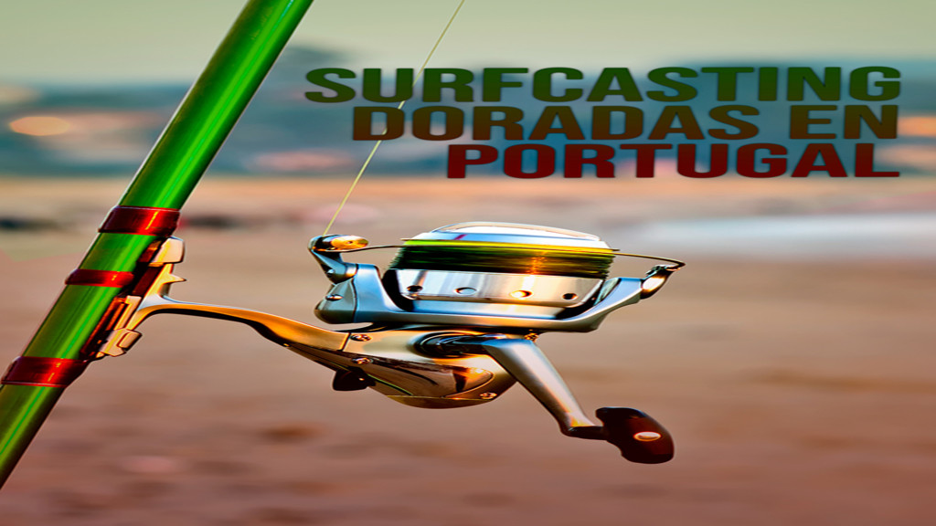 Surfcasting Doradas En Portugal