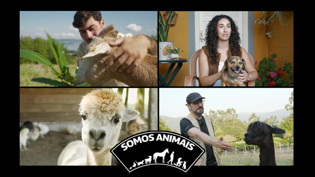 Somos animais