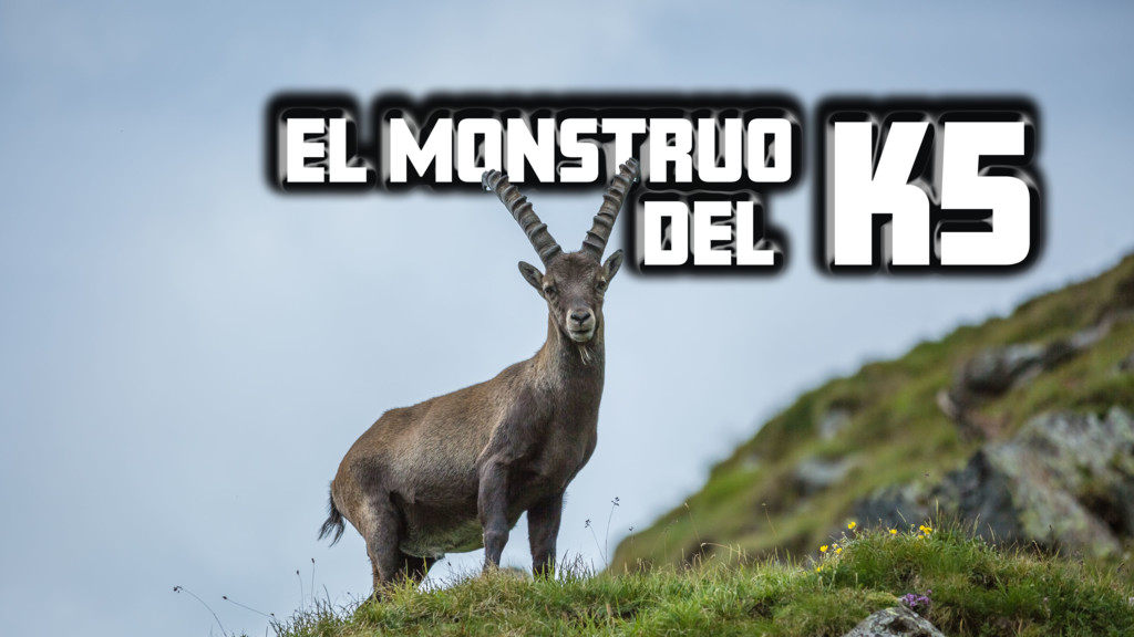 El Monstruo del K5