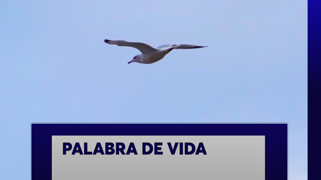 Palabra de vida
