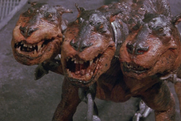 Cerberus
