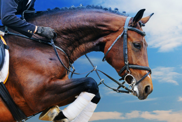 CSI2* Maeza