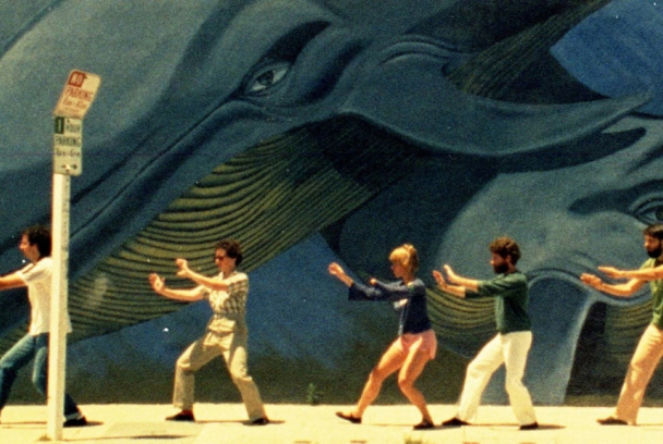 Mural murales