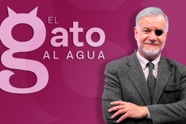 El gato al agua