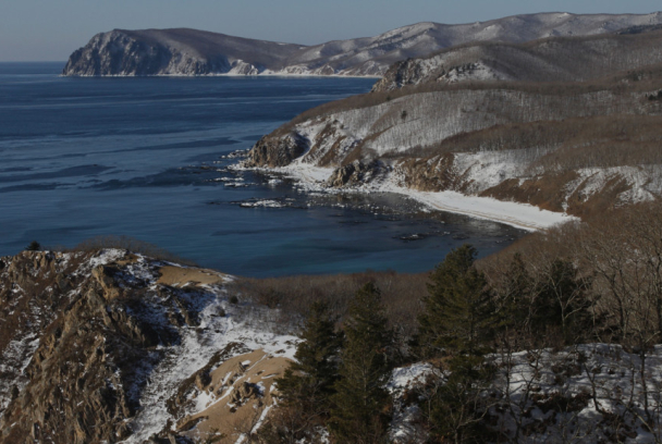 Amur, el Amazonas de Asia