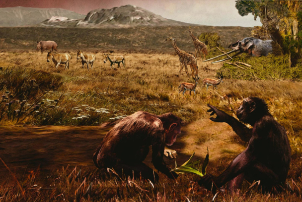 Una nueva versión de la evolución humana