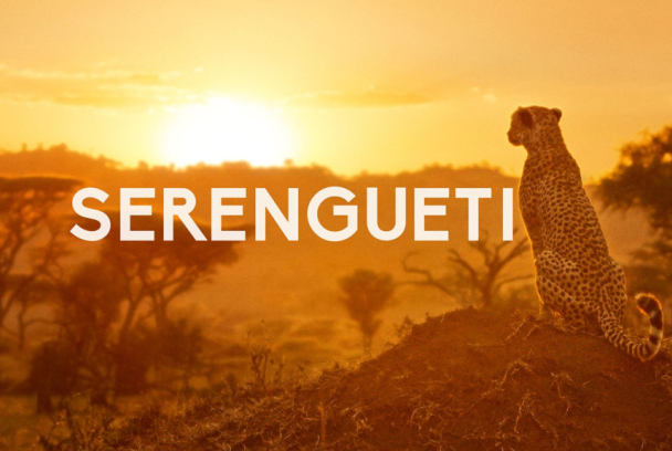 Serengueti