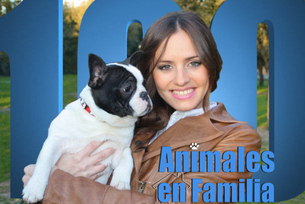 Animales en familia
