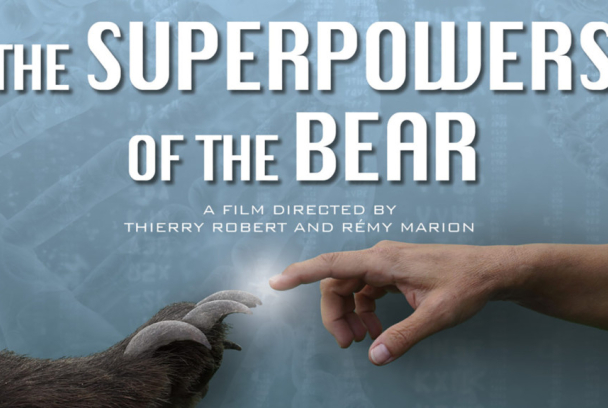 El superpoder del oso