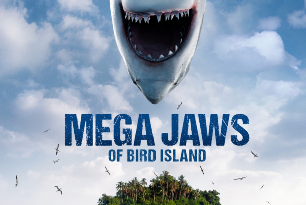 Tiburón hembra en Bird Island