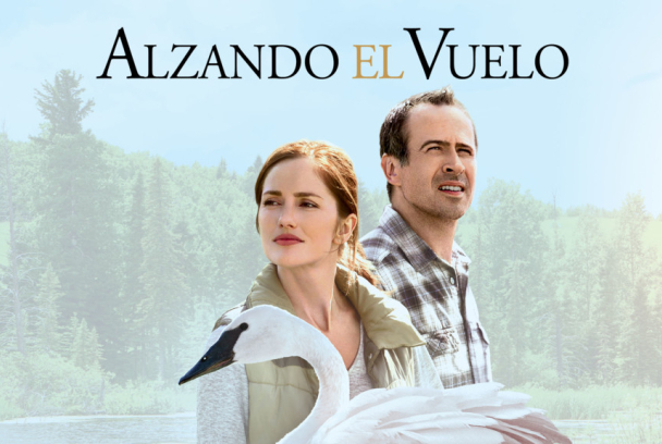 Alzando el vuelo