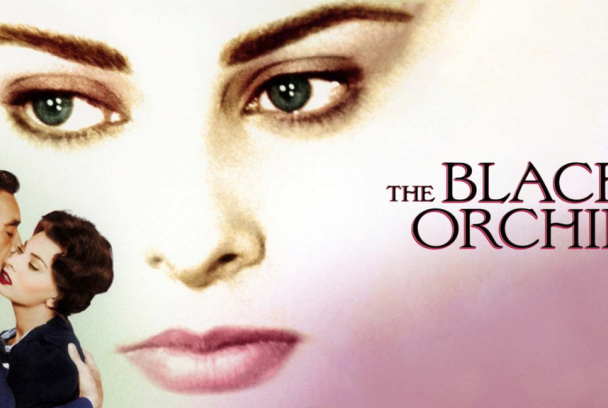 Orquídea negra