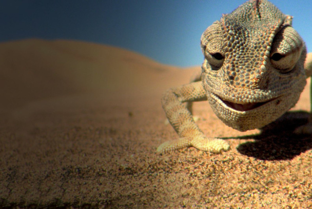 Animales imposibles