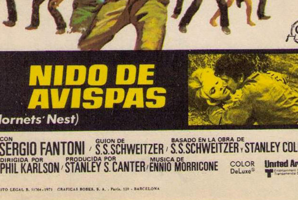 Nido de avispas