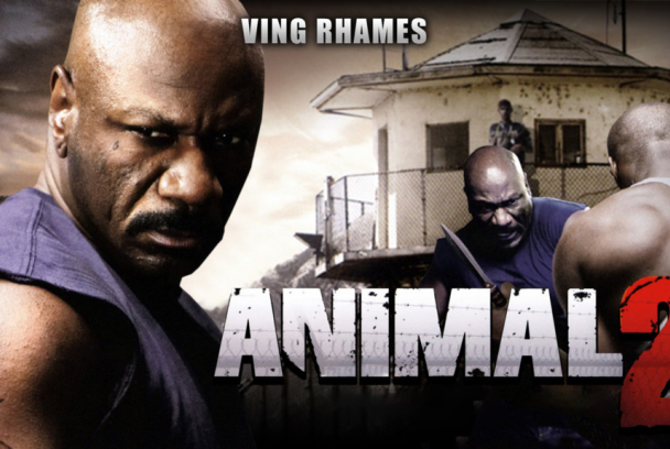 Animal 2