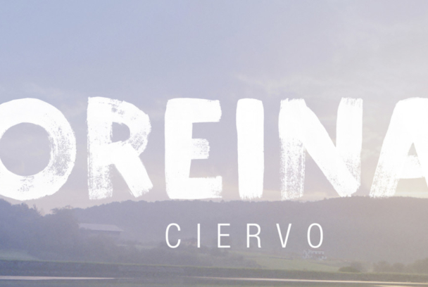 Oreina