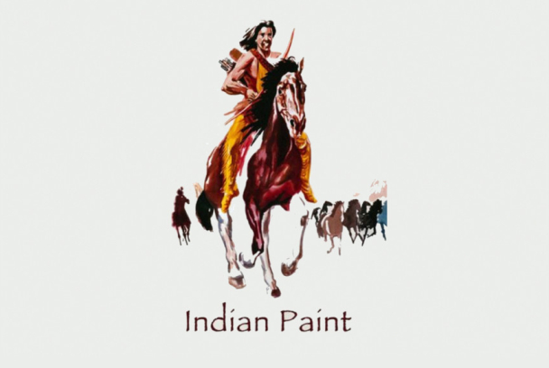 La gran aventura india