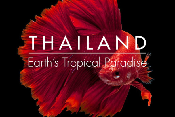 Tailandia salvaje
