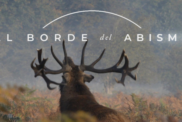 El escarabajo verde